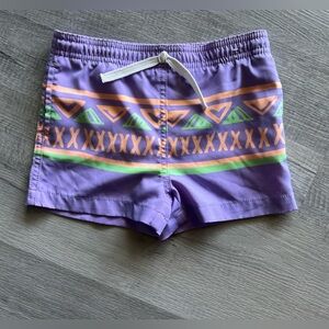 Chubbies Kids Swim Trunks in Purple with Orange and Green Accents